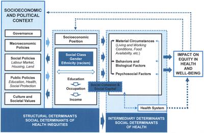 New Zealand’s School Dental Service over the Decades: Its Response to Social, Political, and Economic Influences, and the Effect on Oral Health Inequalities